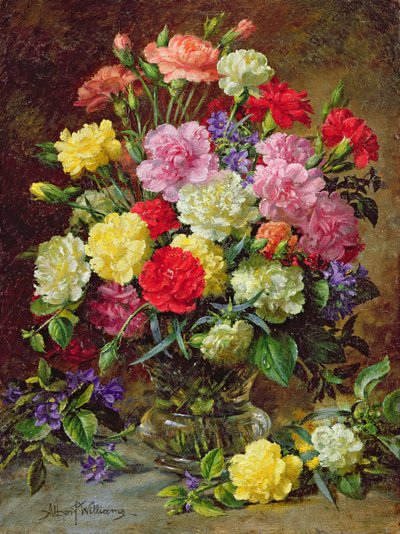 Carnations of Radiant Colours by Albert Williams